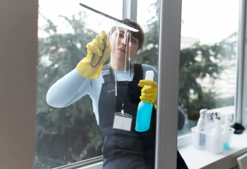Nettoyage de vitres intérieures et extérieures à Thégra